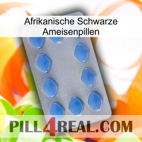 African Black Ant Pills 21.jpg
